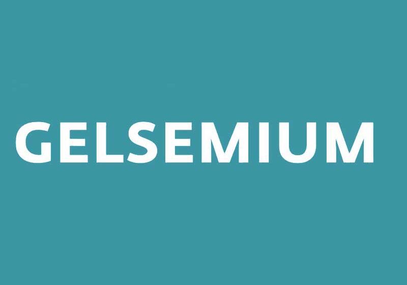  ESET descubre la última versión de Gelsemium