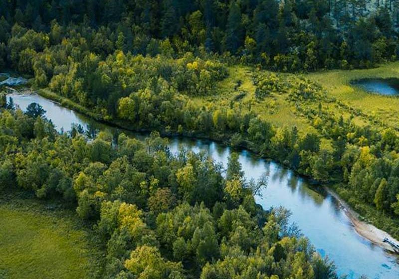  Perspectivas ecológicas: Centros de datos bajo presión por un enfoque más “verde”