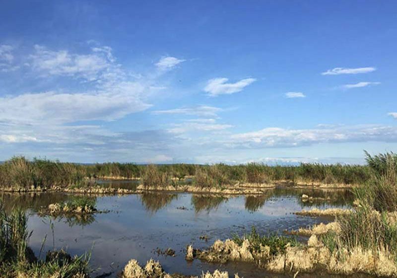  Huawei recibe el premio a las mejores prácticas de desarrollo sostenible de UNGC Network China