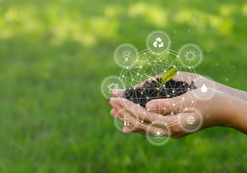  Transformación digital: cómo impacta positivamente en el ambiente
