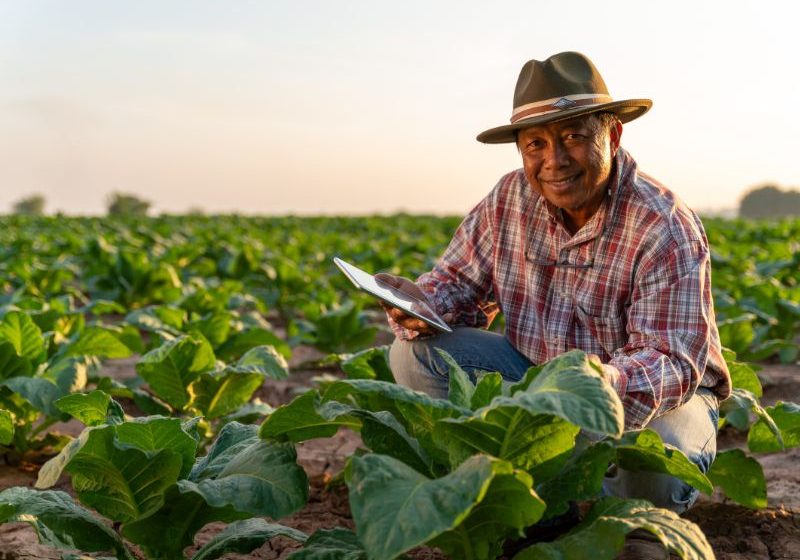  Acceso a internet en zonas rurales se expande en el país