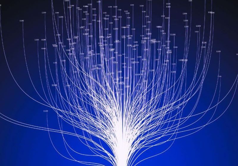  LLM vs. SLM: Los múltiples lenguajes de la IA Gen en el futuro de los negocios