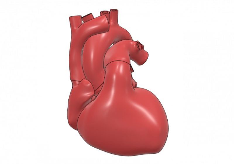  Dassault Systèmes anuncia una guía para usar gemelos virtuales en ensayos clínicos