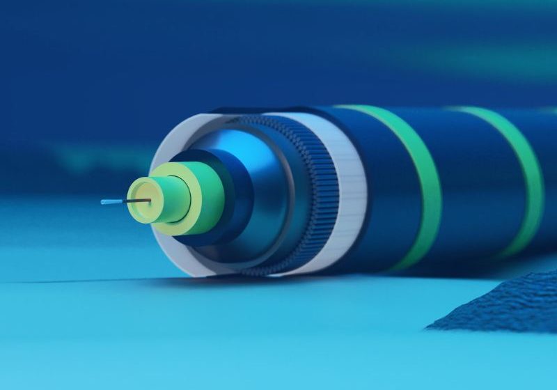  La carrera por asegurar los cables submarinos: un giro global, una acción local