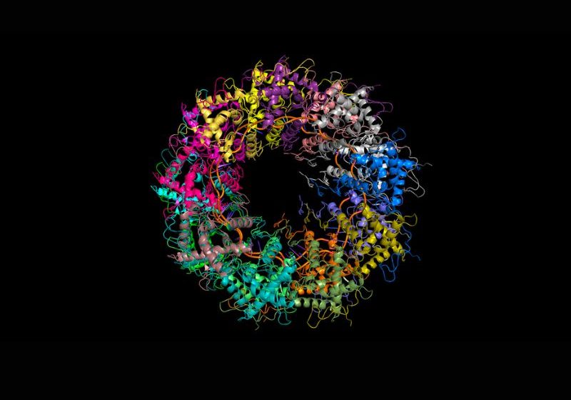  Los factores que pueden conducir a las alucinaciones de la IAGen