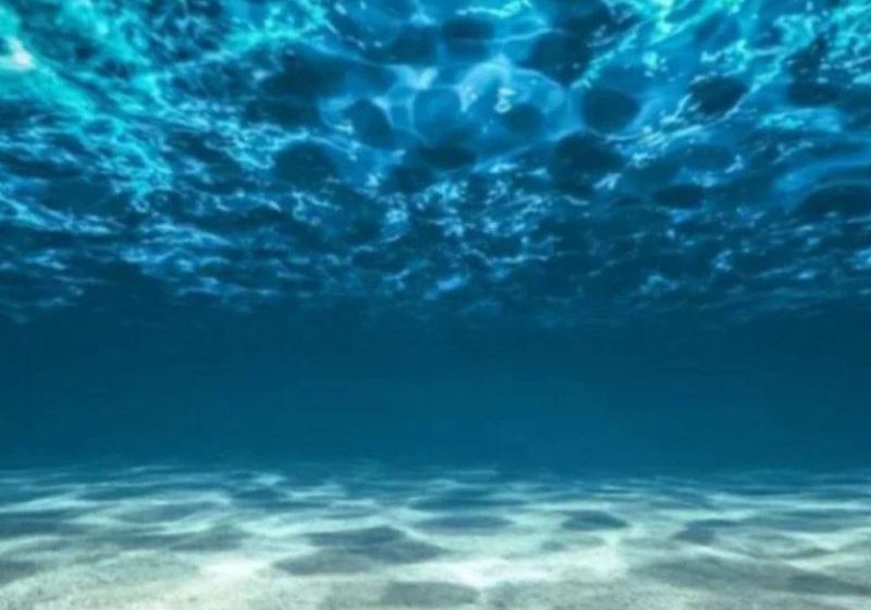  Apuntan a acelerar la protección de los océanos con IA