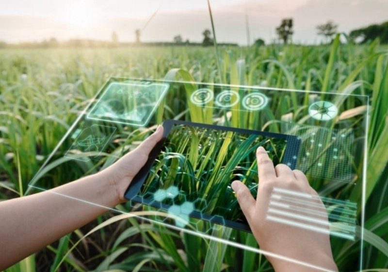  ¿Qué características debe cumplir el software para adaptar la IA al negocio agrícola?