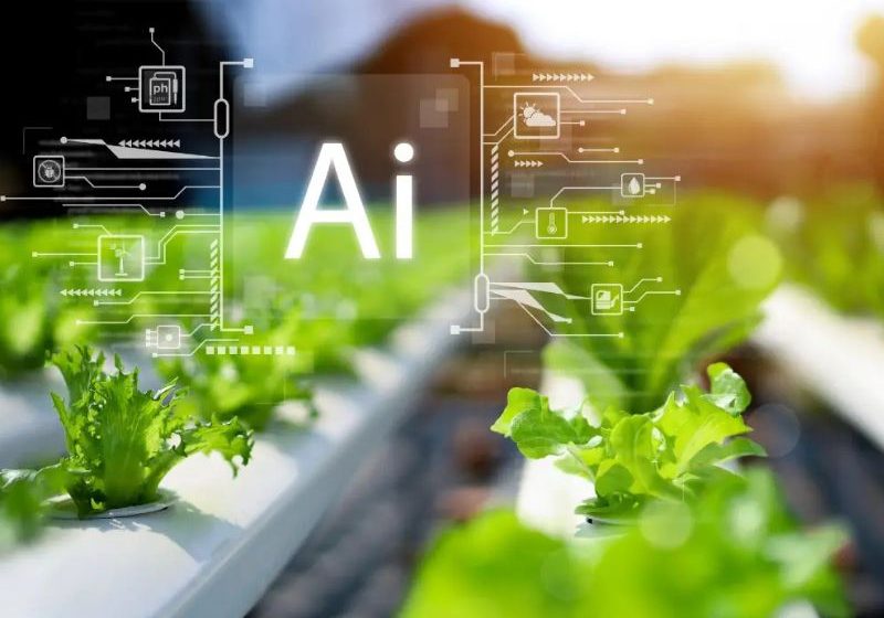  La IA llega al campo: 26% de los agricultores la usa en sus procesos